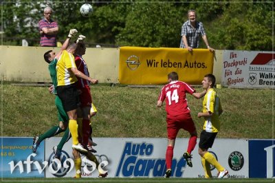nfv09 - FSV Zwickau 2 -119